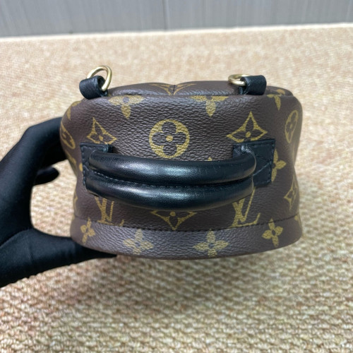 Louis Vuitton Palm Springs Backpack Mini Monogram Brown