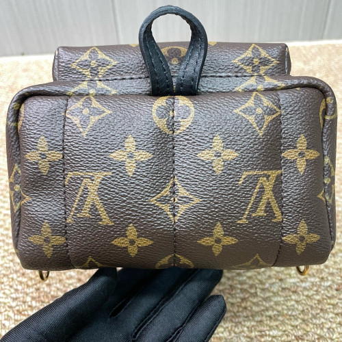 Louis Vuitton Palm Springs Backpack Mini Monogram Brown
