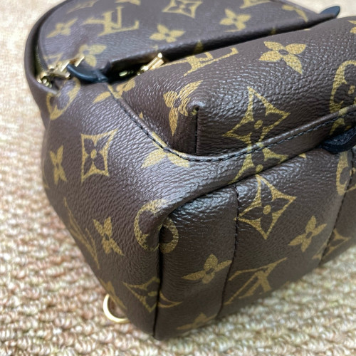 Louis Vuitton Palm Springs Backpack Mini Monogram Brown