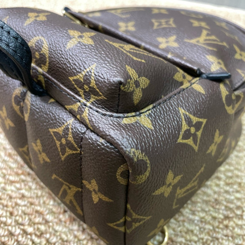 Louis Vuitton Palm Springs Backpack Mini Monogram Brown