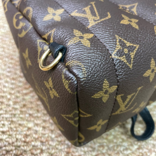 Louis Vuitton Palm Springs Backpack Mini Monogram Brown