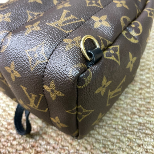 Louis Vuitton Palm Springs Backpack Mini Monogram Brown