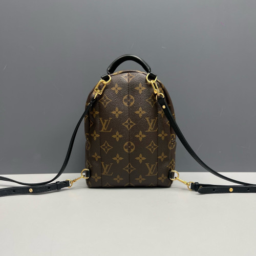 Louis Vuitton Palm Springs Backpack Mini Monogram Brown
