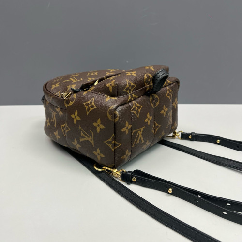 Louis Vuitton Palm Springs Backpack Mini Monogram Brown