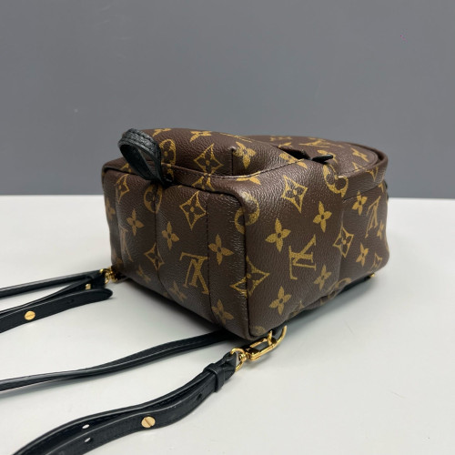 Louis Vuitton Palm Springs Backpack Mini Monogram Brown