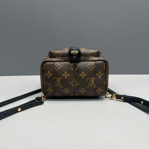Louis Vuitton Palm Springs Backpack Mini Monogram Brown
