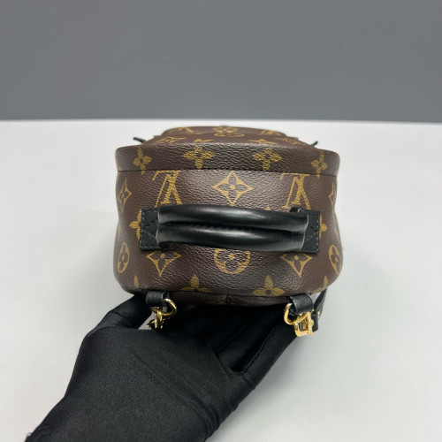 Louis Vuitton Palm Springs Backpack Mini Monogram Brown