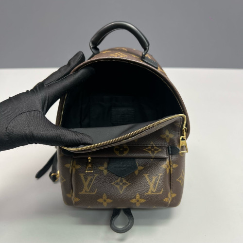Louis Vuitton Palm Springs Backpack Mini Monogram Brown