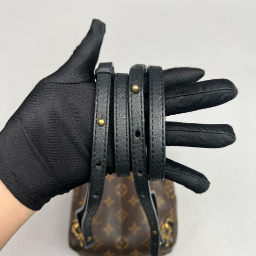 Louis Vuitton Palm Springs Backpack Mini Monogram Brown
