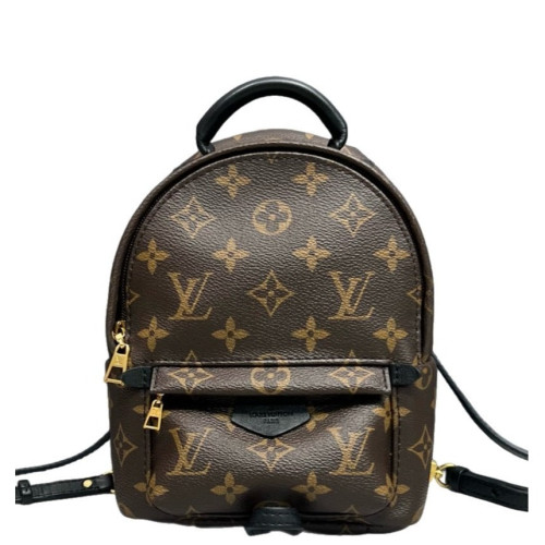 Louis Vuitton Palm Springs Backpack Mini Monogram Brown