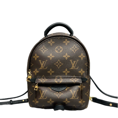 Louis Vuitton Palm Springs Backpack Mini Monogram Brown