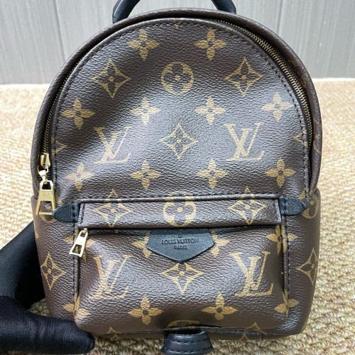 Louis Vuitton Palm Springs Backpack Mini Monogram Brown