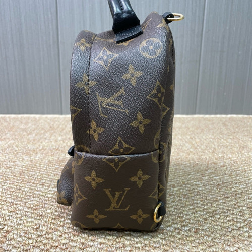 Louis Vuitton Palm Springs Backpack Mini Monogram Brown