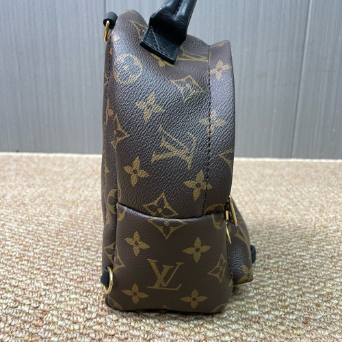 Louis Vuitton Palm Springs Backpack Mini Monogram Brown