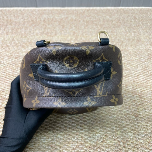 Louis Vuitton Palm Springs Backpack Mini Monogram Brown