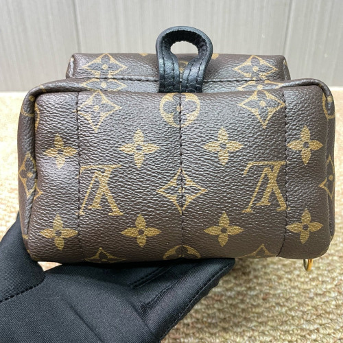 Louis Vuitton Palm Springs Backpack Mini Monogram Brown