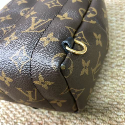 Louis Vuitton Palm Springs Backpack Mini Monogram Brown
