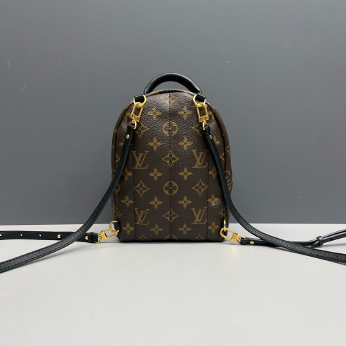 Louis Vuitton Palm Springs Backpack Mini Monogram Brown