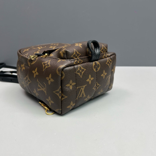 Louis Vuitton Palm Springs Backpack Mini Monogram Brown