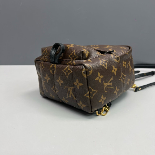 Louis Vuitton Palm Springs Backpack Mini Monogram Brown