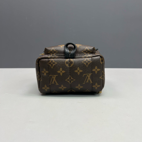 Louis Vuitton Palm Springs Backpack Mini Monogram Brown