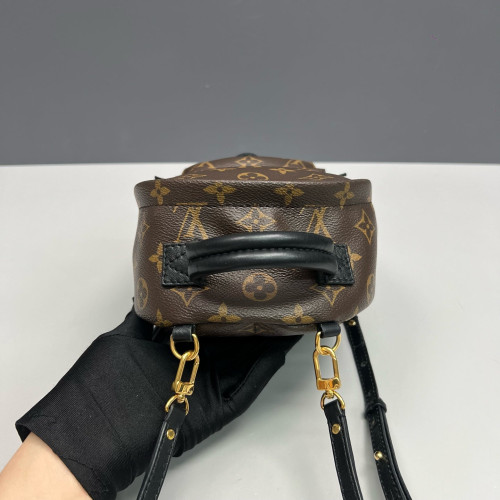 Louis Vuitton Palm Springs Backpack Mini Monogram Brown