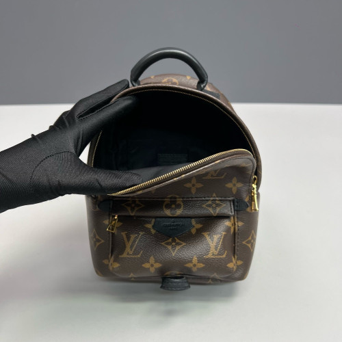Louis Vuitton Palm Springs Backpack Mini Monogram Brown