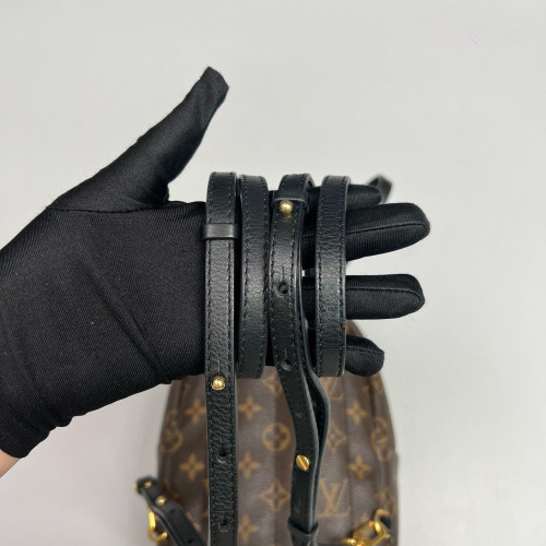 Louis Vuitton Palm Springs Backpack Mini Monogram Brown
