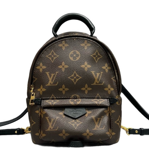 Louis Vuitton Palm Springs Backpack Mini Monogram Brown