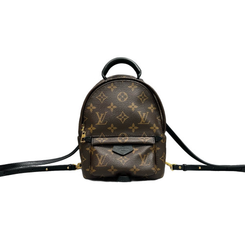 Louis Vuitton Palm Springs Backpack Mini Monogram Brown