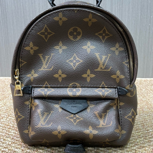 Louis Vuitton Palm Springs Backpack Mini Monogram Brown