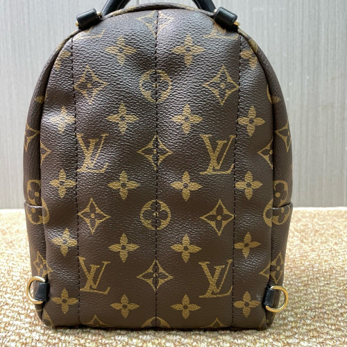 Louis Vuitton Palm Springs Backpack Mini Monogram Brown