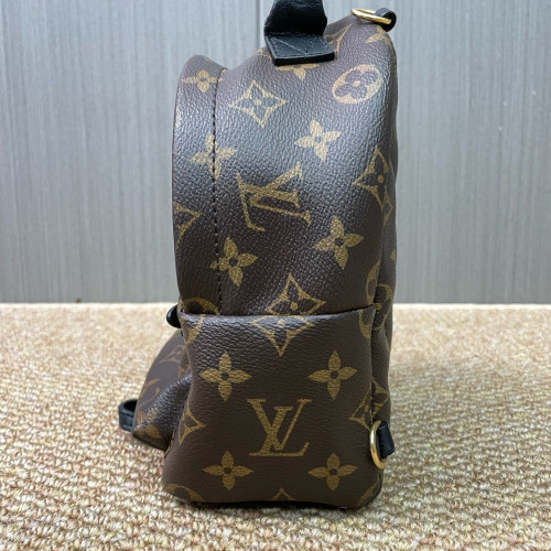 Louis Vuitton Palm Springs Backpack Mini Monogram Brown
