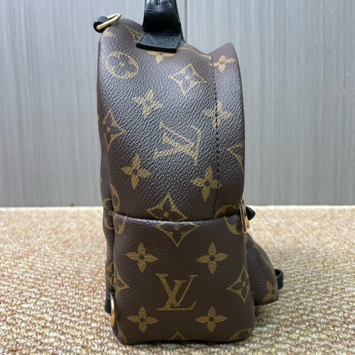 Louis Vuitton Palm Springs Backpack Mini Monogram Brown