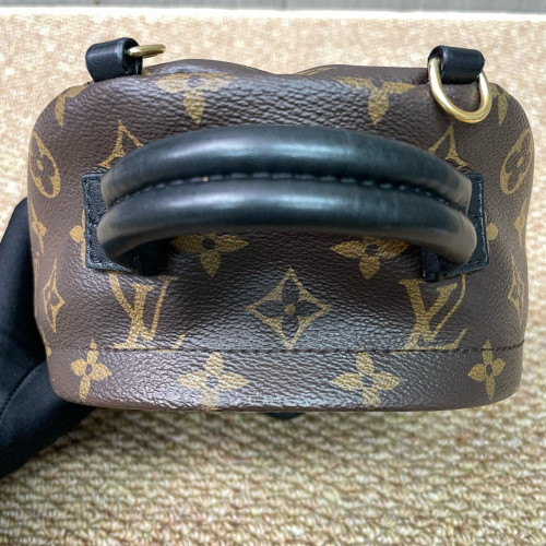Louis Vuitton Palm Springs Backpack Mini Monogram Brown