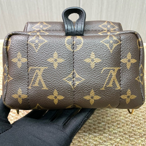 Louis Vuitton Palm Springs Backpack Mini Monogram Brown