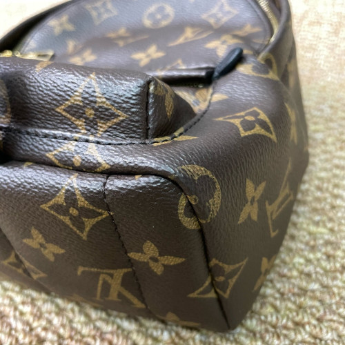 Louis Vuitton Palm Springs Backpack Mini Monogram Brown