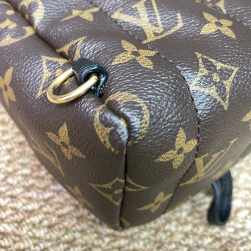 Louis Vuitton Palm Springs Backpack Mini Monogram Brown