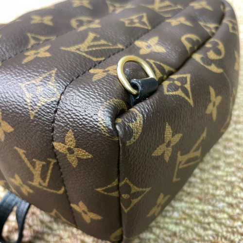Louis Vuitton Palm Springs Backpack Mini Monogram Brown