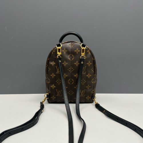 Louis Vuitton Palm Springs Backpack Mini Monogram Brown