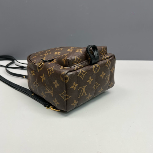 Louis Vuitton Palm Springs Backpack Mini Monogram Brown