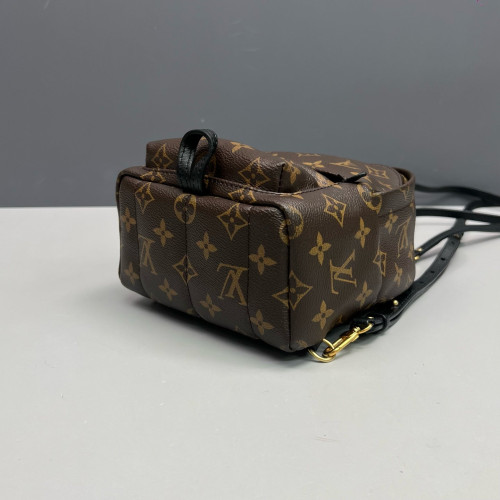 Louis Vuitton Palm Springs Backpack Mini Monogram Brown