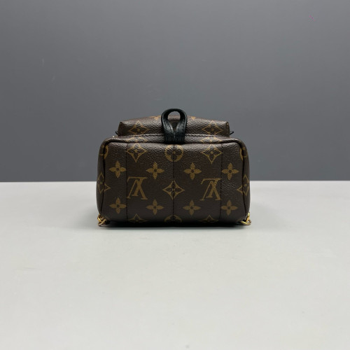Louis Vuitton Palm Springs Backpack Mini Monogram Brown