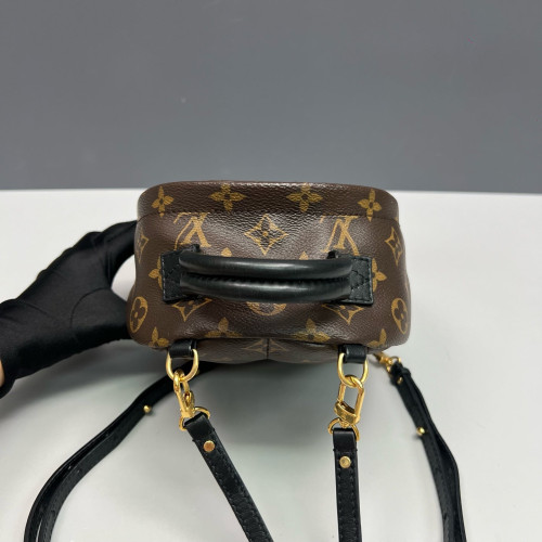 Louis Vuitton Palm Springs Backpack Mini Monogram Brown