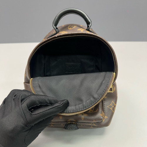 Louis Vuitton Palm Springs Backpack Mini Monogram Brown
